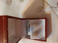 Richard Designs Earrings RRP £49