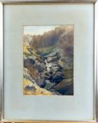 The Waterfall
