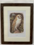 Rear Vintage Frames Wild Bird Print