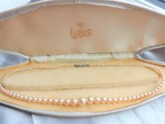 Vintage Single Strand Pearl Necklace in Lotus Case