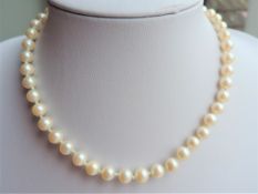 Single Strand Pearl Necklace
