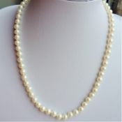 18 Inch Single Strand Pearl Necklace