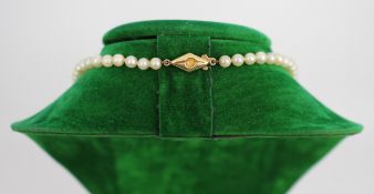 Cultured Pearl Necklace with 9ct Gold Clasp