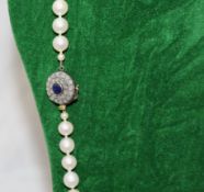 Akoya Pearl Necklace with 19th c. Sapphire Set Clasp