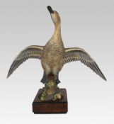 Royal Worcester American Pintail by Ronald van Ruyckevelt