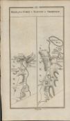 Taylor & Skinner 1777 Ireland Map Skinnereen Bantry Clonakilty Thornhill Cork.