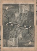 Rare Banshee Howling Illustration Antique 1884.