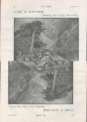 Deerstalking Ross-Shire Scotland 1901 Antique.