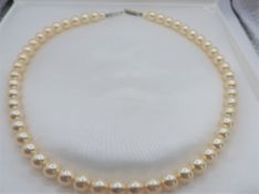 Vintage 17 inch Single Strand Pearl Necklace