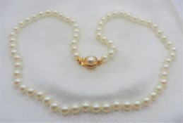18 Inch Single Strand Pearl Necklace