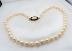 Single Strand Pearl Necklace