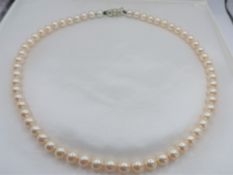 Vintage 16 inch Single Strand Pearl Necklace