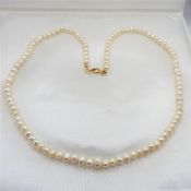 20 inch Single Strand Freshwater Cultured Pearl Necklace with Gift Box