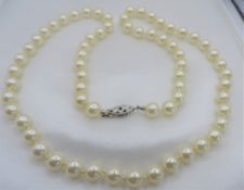 24 inch Single Strand 8mm Pearl Necklace