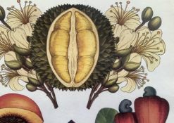 Beautiful Botanical English Prints Set In A Glazed Wooden Frame