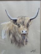 Highland cow portrait Aberdeen Angus framed Painting watercolour signed by artist Bel Parsons
