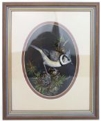 Painting of Crested Tit by Liz Garnett-Orme (British, Contemporary)