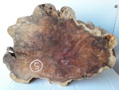 Hardwood Timber Sawn English Yew Log Slice / Crosscut
