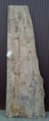 Hardwood Timber Waney Edge / Live Edge English Elm Burr Board