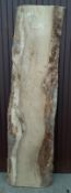 Hardwood Air Dried Sawn English Elm Waney Edge / Live Edge Board / Slab