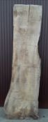 Hardwood Air Dried Sawn Waney Edge / Live Edge Elm Board / Slab