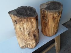 2 x Hardwood Sawn Timber English Yew Logs
