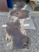 Hardwood Air Dried Sawn Timber Waney Edge / Live Edge English Brown Burr Oak Slab / Table Top