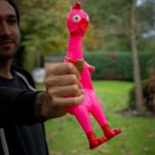 (127/5L) Lot RRP £96. Approx 12x Squawking Stress Chicken Mixed Colours RRP £8 Each. (All Units H...