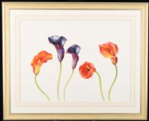 Rosie Saunders Limited Edition