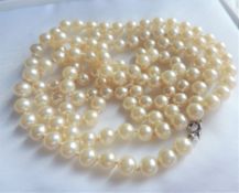 Vintage 46 inch Opera Length Pearl Necklace