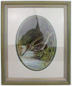 Painting of Jack Snipe by Liz Garnett-Orme (British, Contemporary)