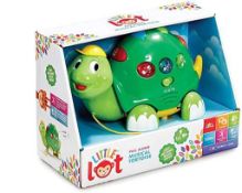 Little Lot Pull Along Musical Tortoise