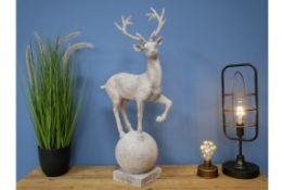 Stag on Ball