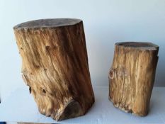 2 x Hardwood Sawn Timber English Yew Logs