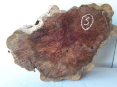 Hardwood Timber Sawn English Yew Log Slice / Crosscut