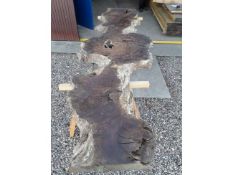 Hardwood Air Dried Sawn Timber Waney Edge / Live Edge English Brown Burr Oak Slab / Table Top
