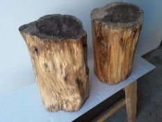 2 x Hardwood Sawn Timber English Yew Logs