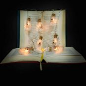(247/7D) Lot RRP £184. 12x Harry Potter Items. 3x LED Potion Bottles String Lights RRP £15 Each....