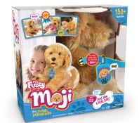 Title: (86/MR1) RRP £100. Moji The Loveable Labradoodle.Description: (86/MR1) RRP £100. Moji The