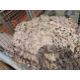 Very Nice Desert Camo Nets 1 x Stillage as shown - Image 4 of 5