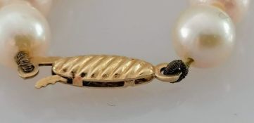 A single row of sixty-one cultured pearls, measuring 6mm to 6.3mm, medium cream colour