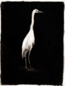 Paul Joseph Vogeler (1982 Columbus - lebt in New York)