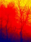 Lori Hersberger (1963 Basel - lebt in Zürich)