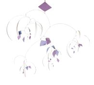 Alexander Bauman (USA)*