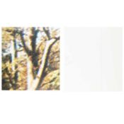 Hans-Jörg Mayer (1955 Deutschland)