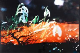 Fischli/Weiss Peter Fischli und David Weiss (1952 Zürich - lebt in Zürich) und (1946 Zürich 2012)