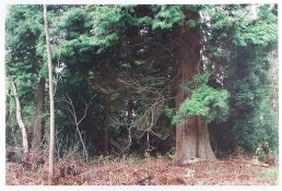 Paul  Smith  (1969 Großbritannien)