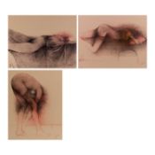 Bruno Bruni (1935 Gradara – lebt in Hamburg)