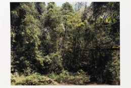 Thomas Struth (1954 Geldern – lebt in Berlin)