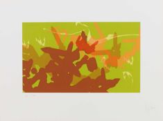 Jorge Pardo (1963 Havanna – lebt in New York)